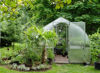 Picture of Exaco Riga IIIs Greenhouse